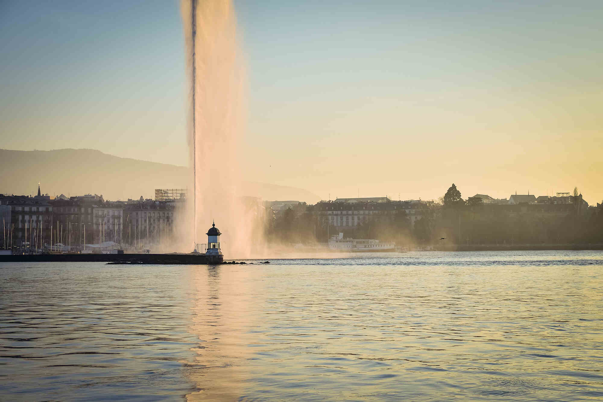 Personal Data Protection