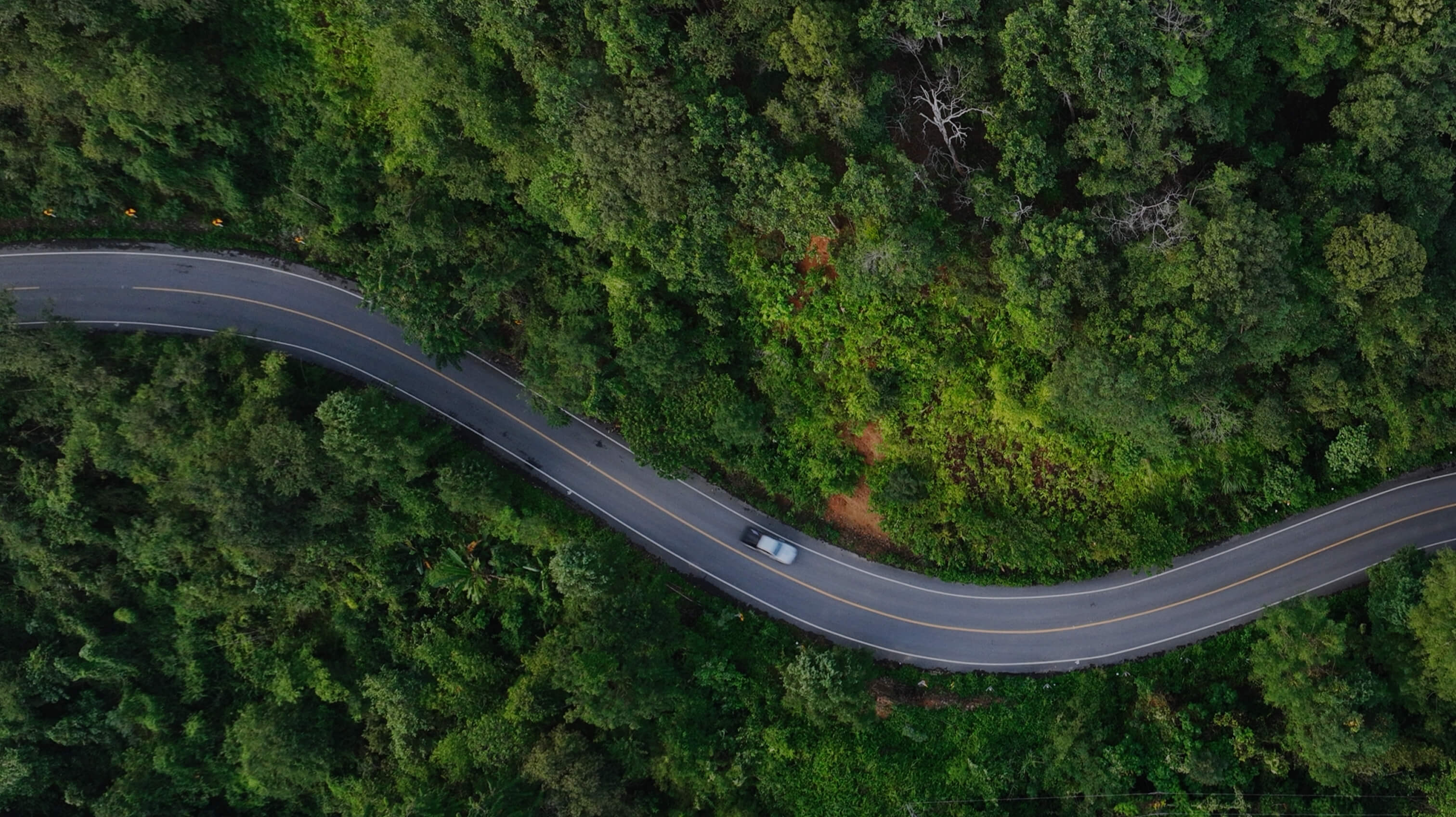 Invest In Partnerships